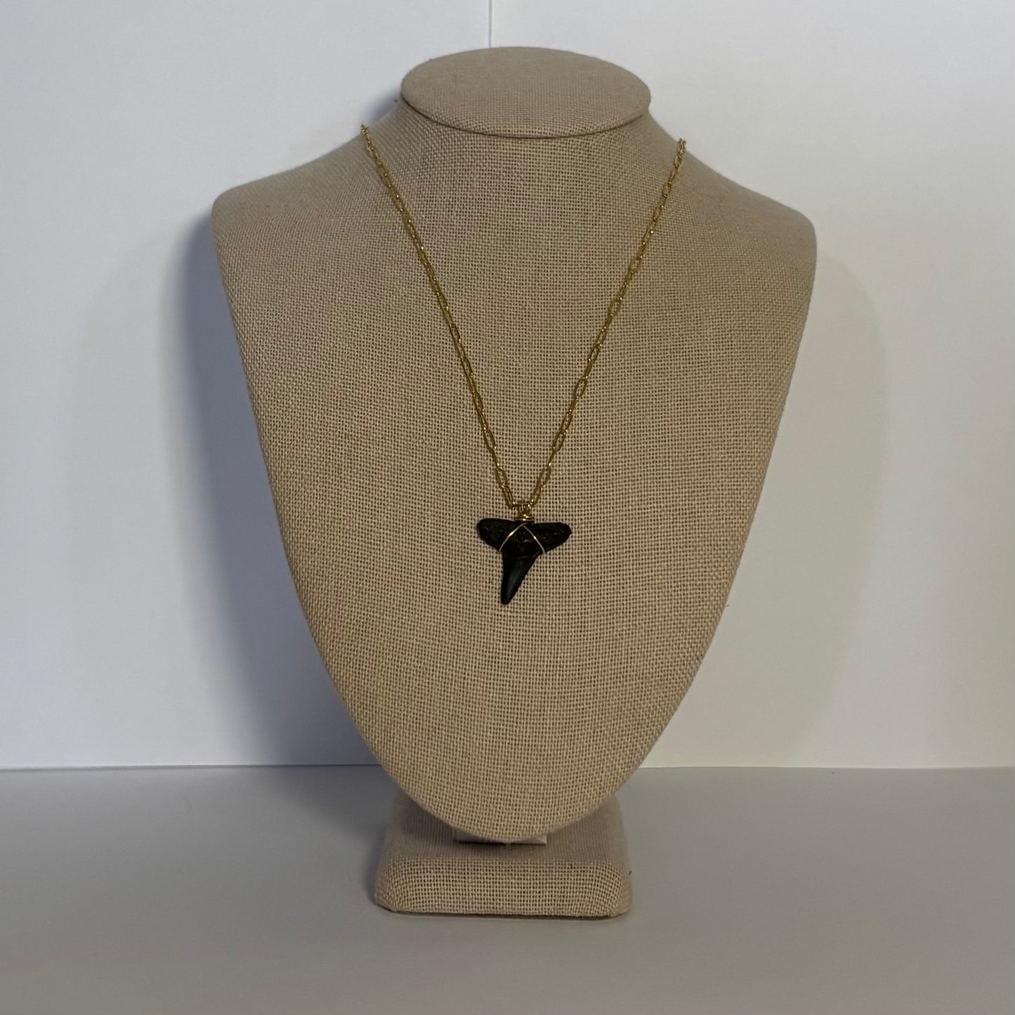 Classic Shark Teeth Necklace