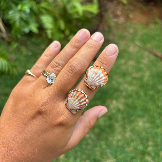 Sunrise Shell Rings