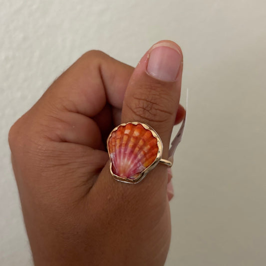 Sunrise Shell Ring