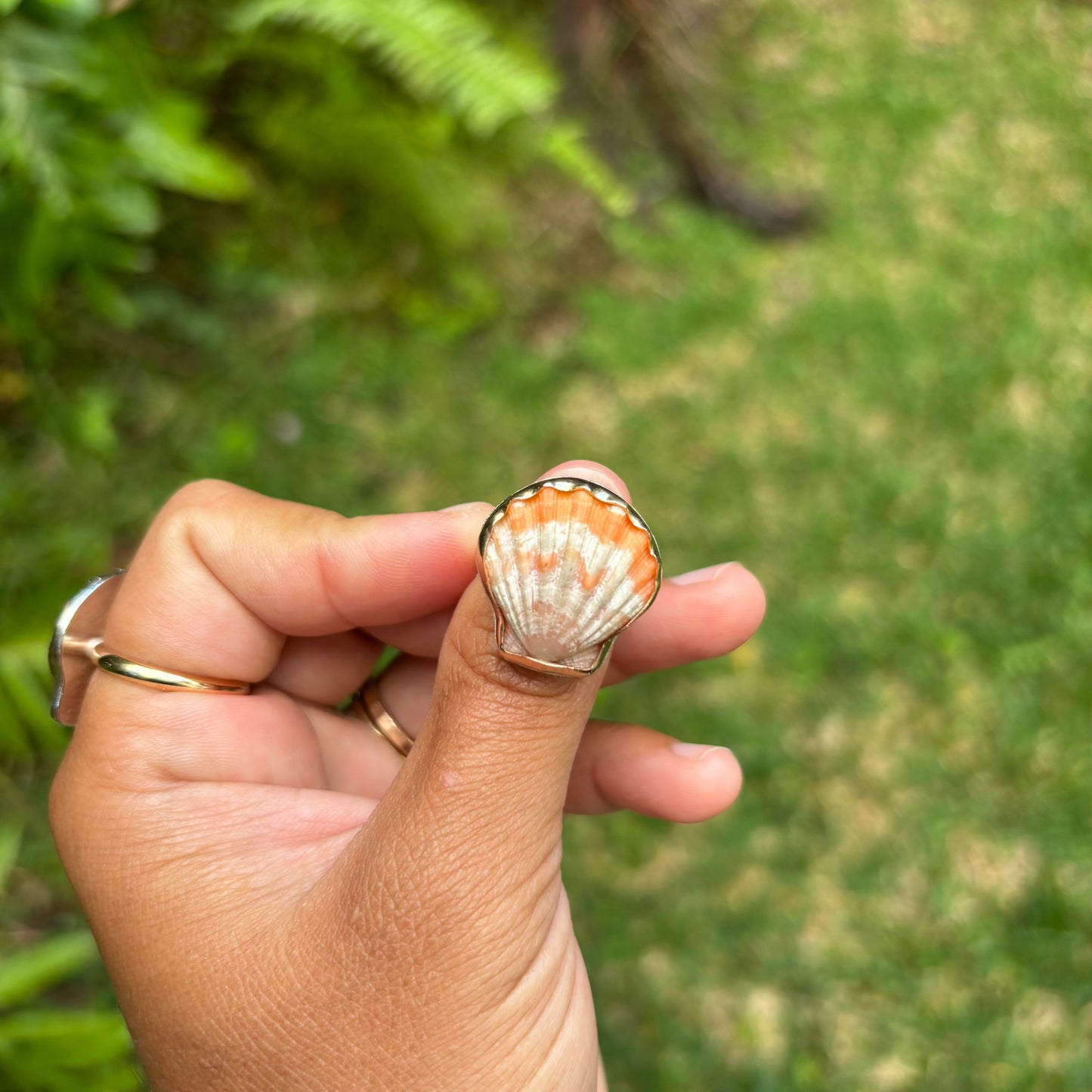 Sunrise Shell Ring
