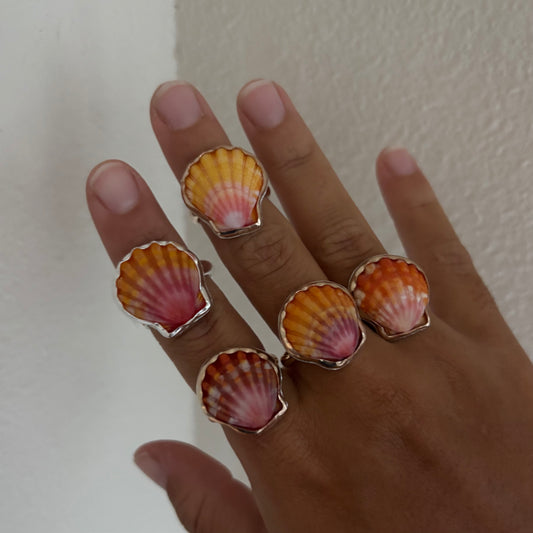 Sunrise Shell Ring