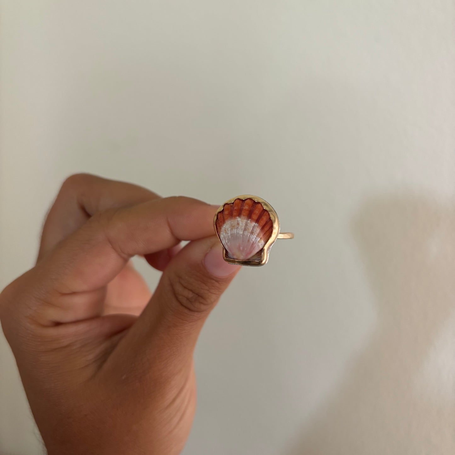 Sunrise Shell Ring