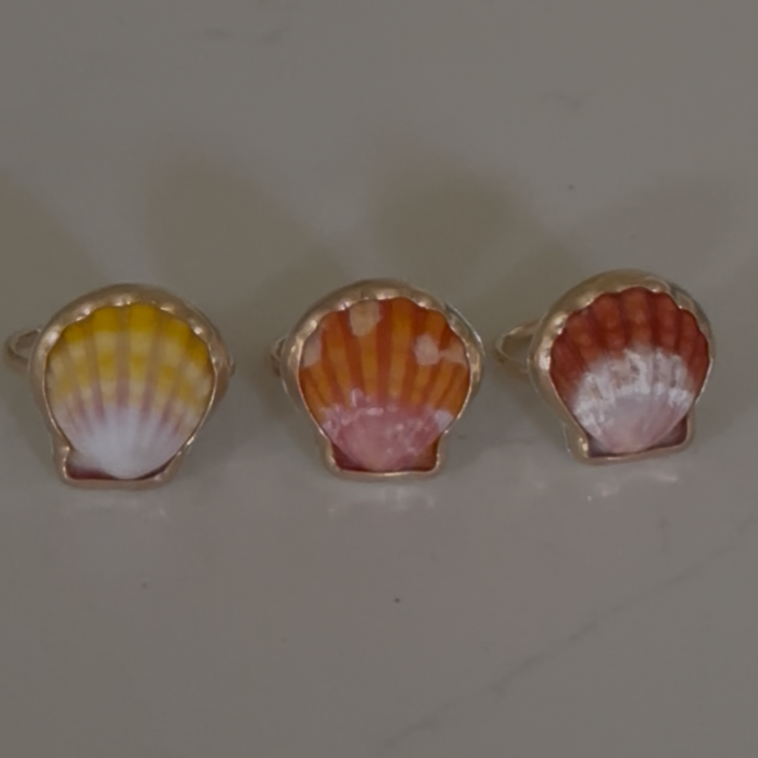 Sunrise Shell Ring