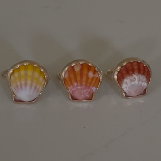 Sunrise Shell Ring