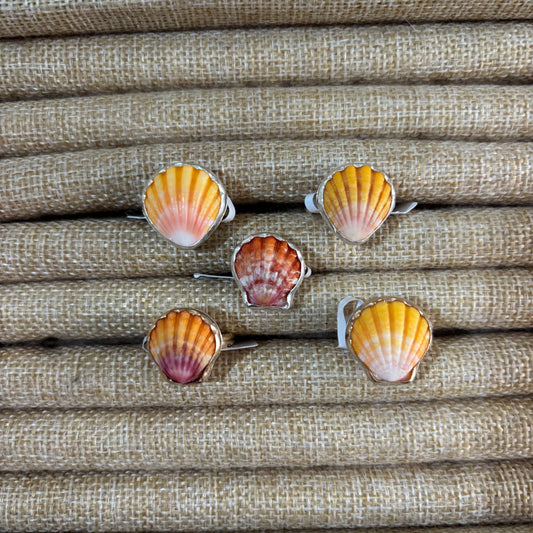 Sunrise Shell Ring
