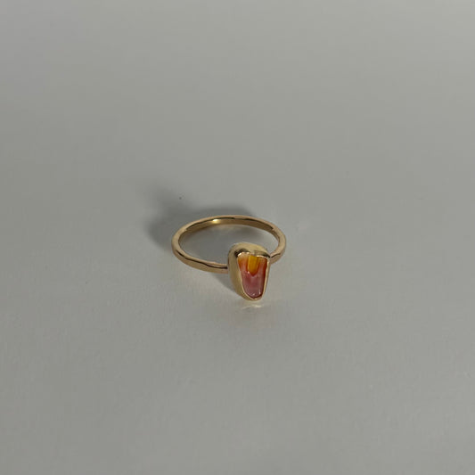 Gold Filled Sunny Chip Ring