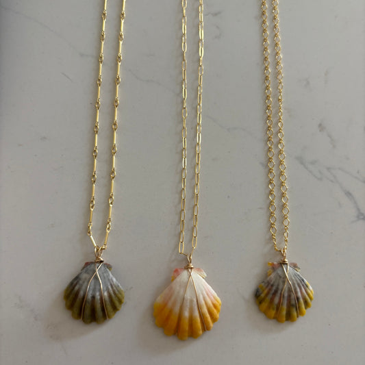 Simple Sunrise Shell Necklace