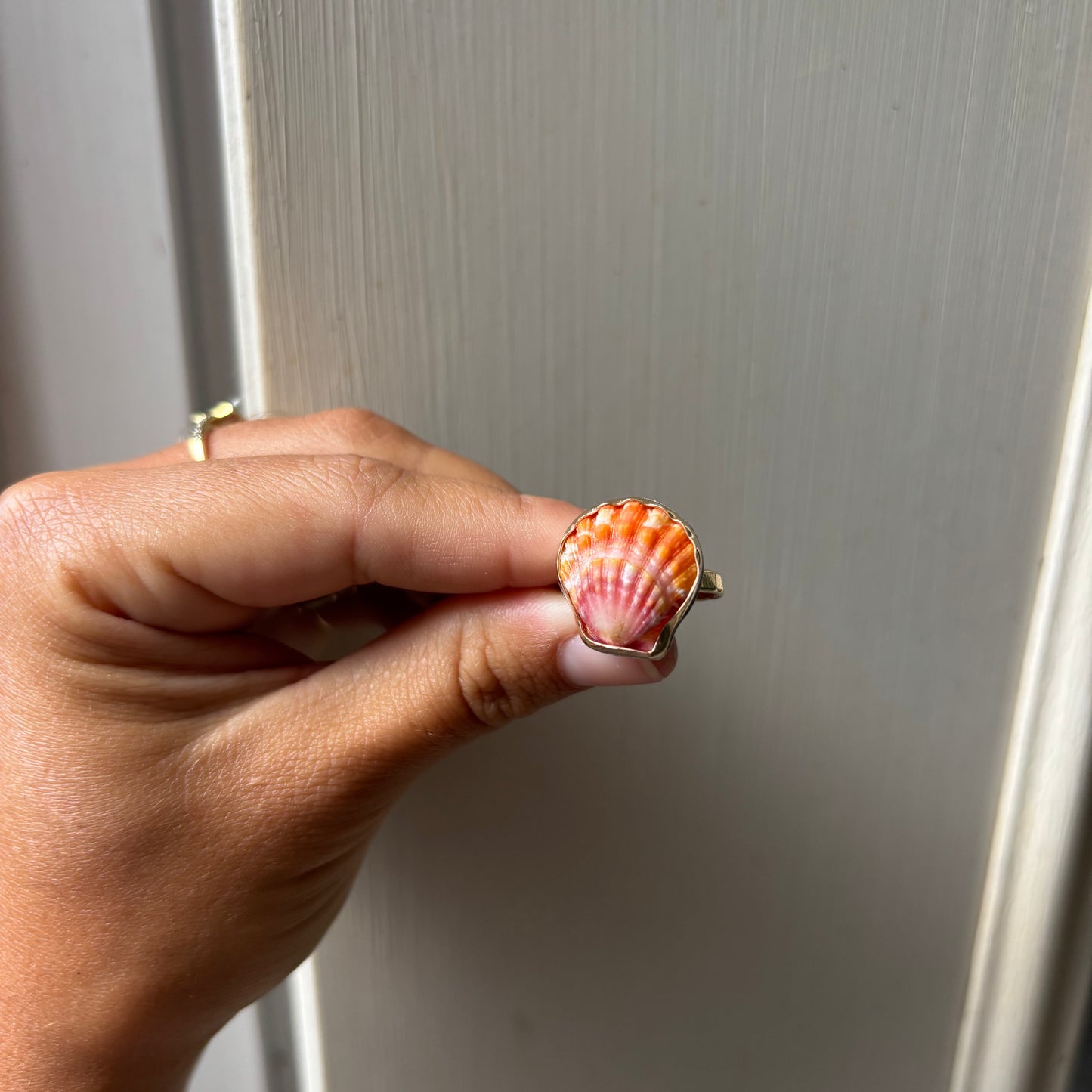 Sunrise Shell Ring