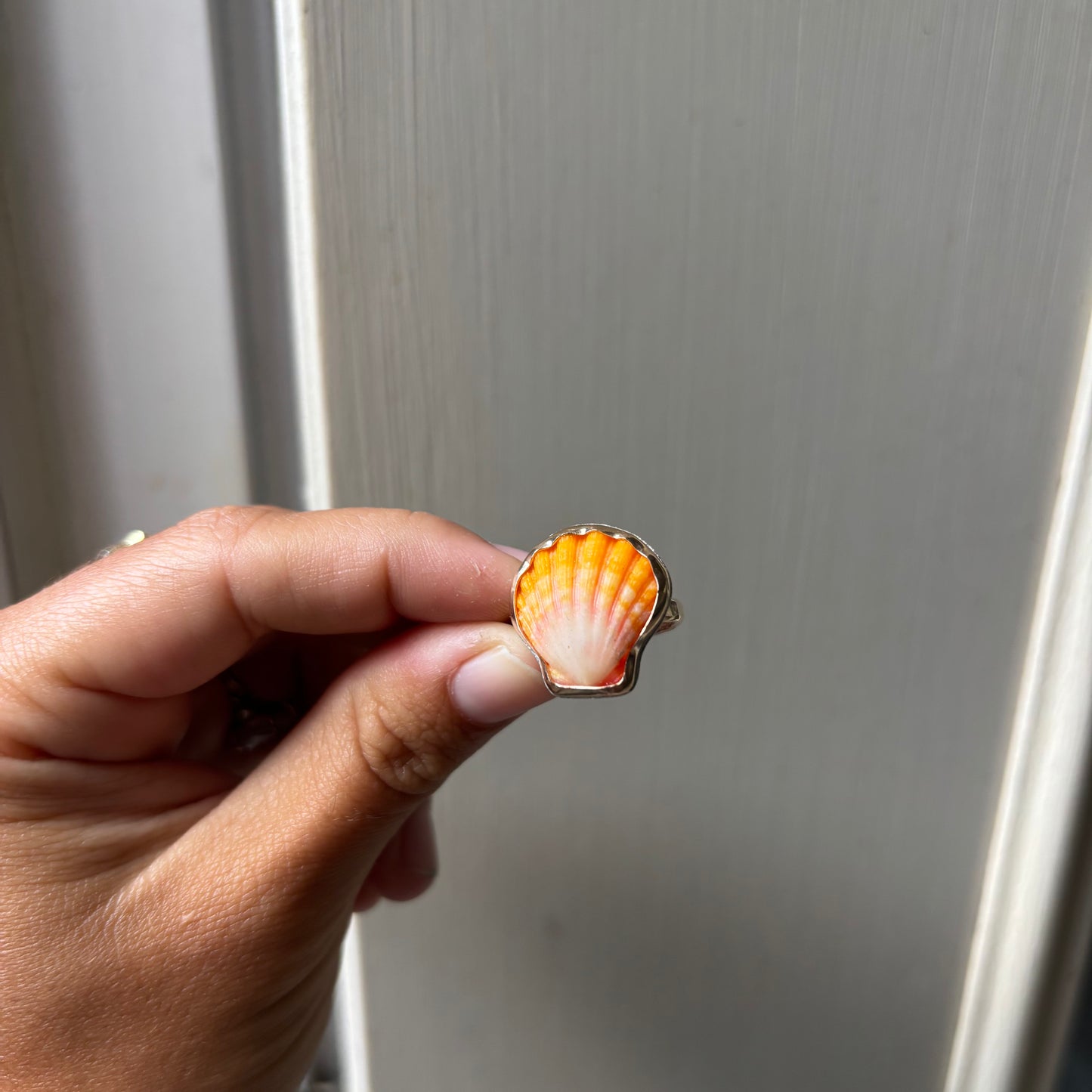 Sunrise Shell Ring