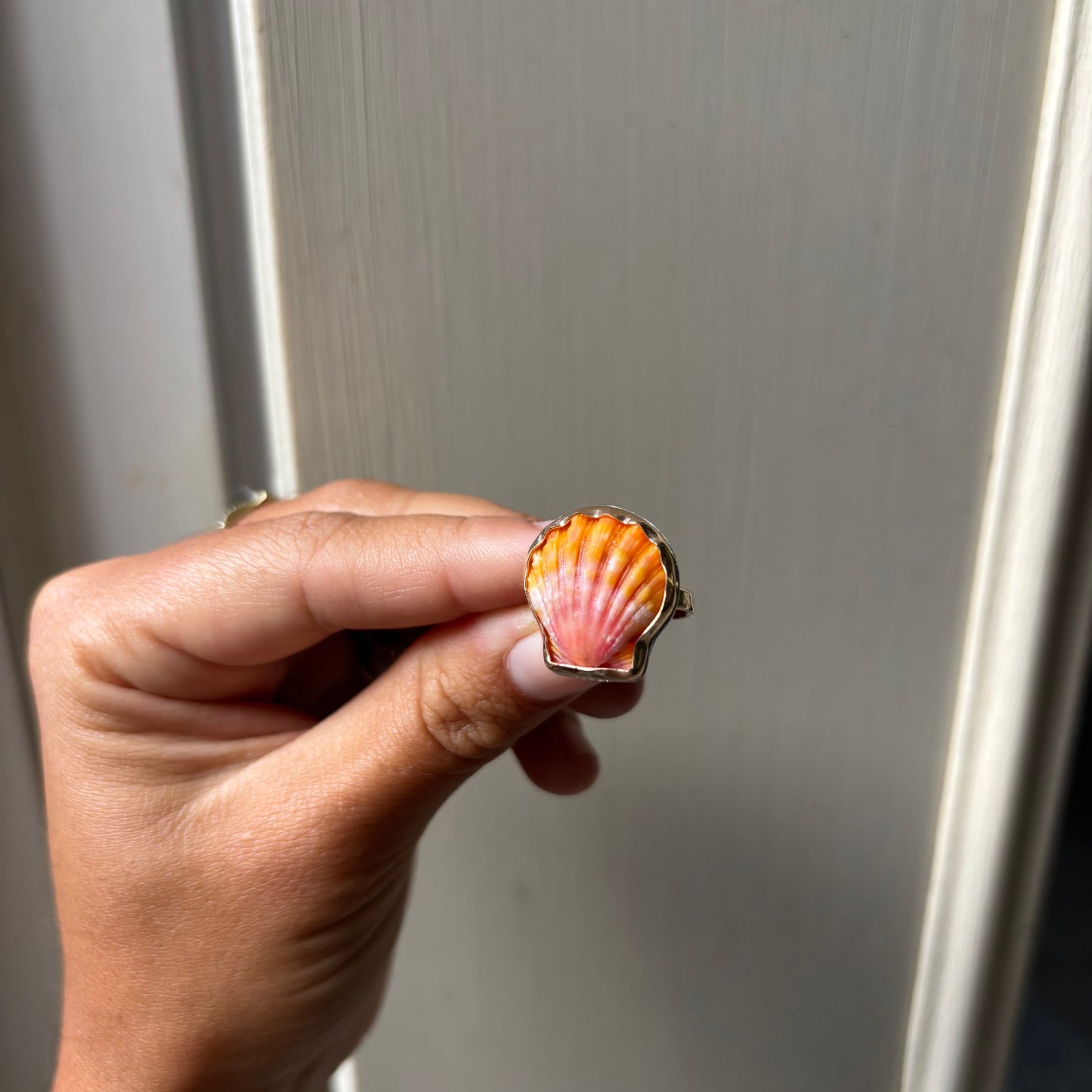Sunrise Shell Ring