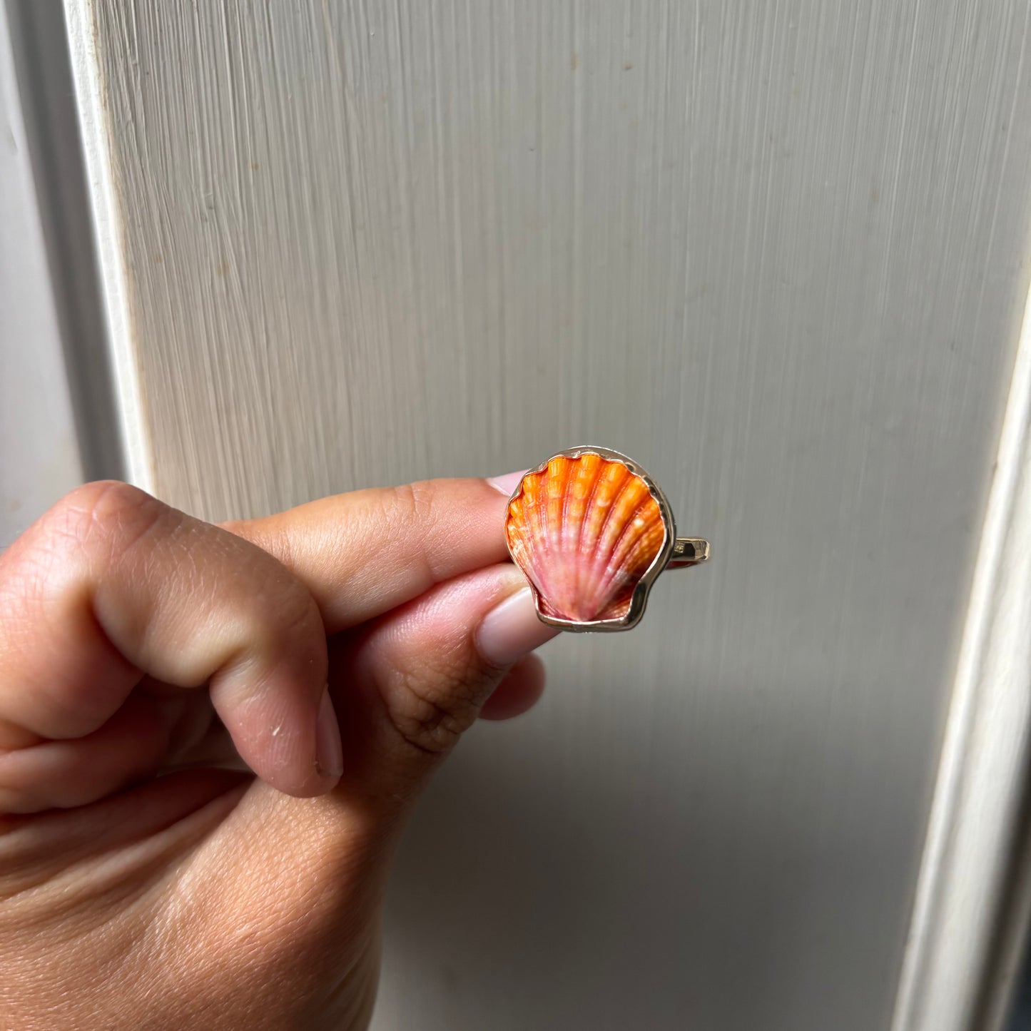 Sunrise Shell Ring