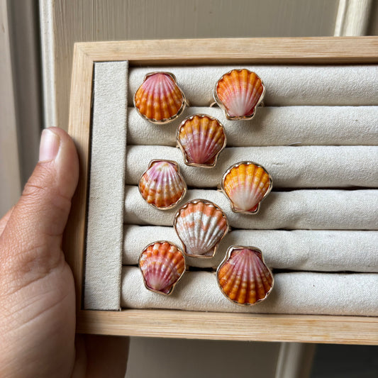 Sunrise Shell Ring