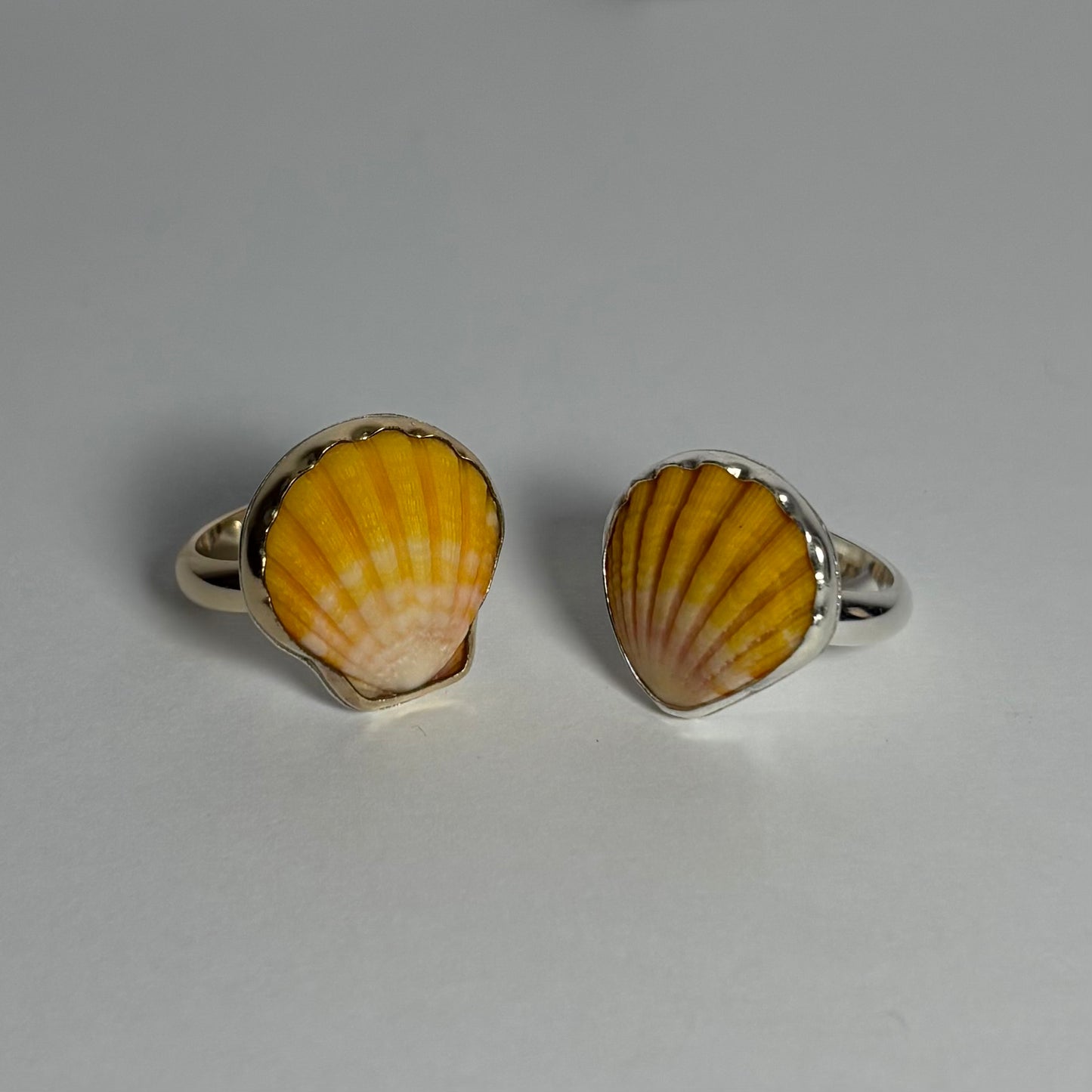 Sunrise Shell Ring